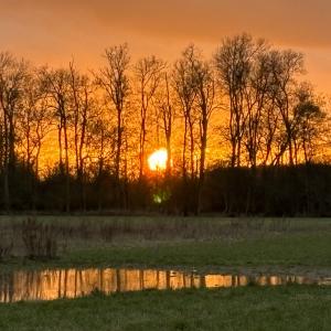 Ashe Green sunset Feb 2024