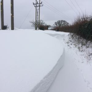 February 2021 snowdrift