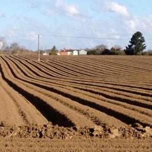 field view from Mill Lane 2013?