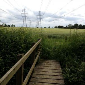 A field walk