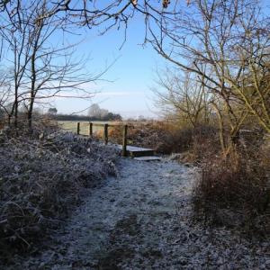 A winters walk